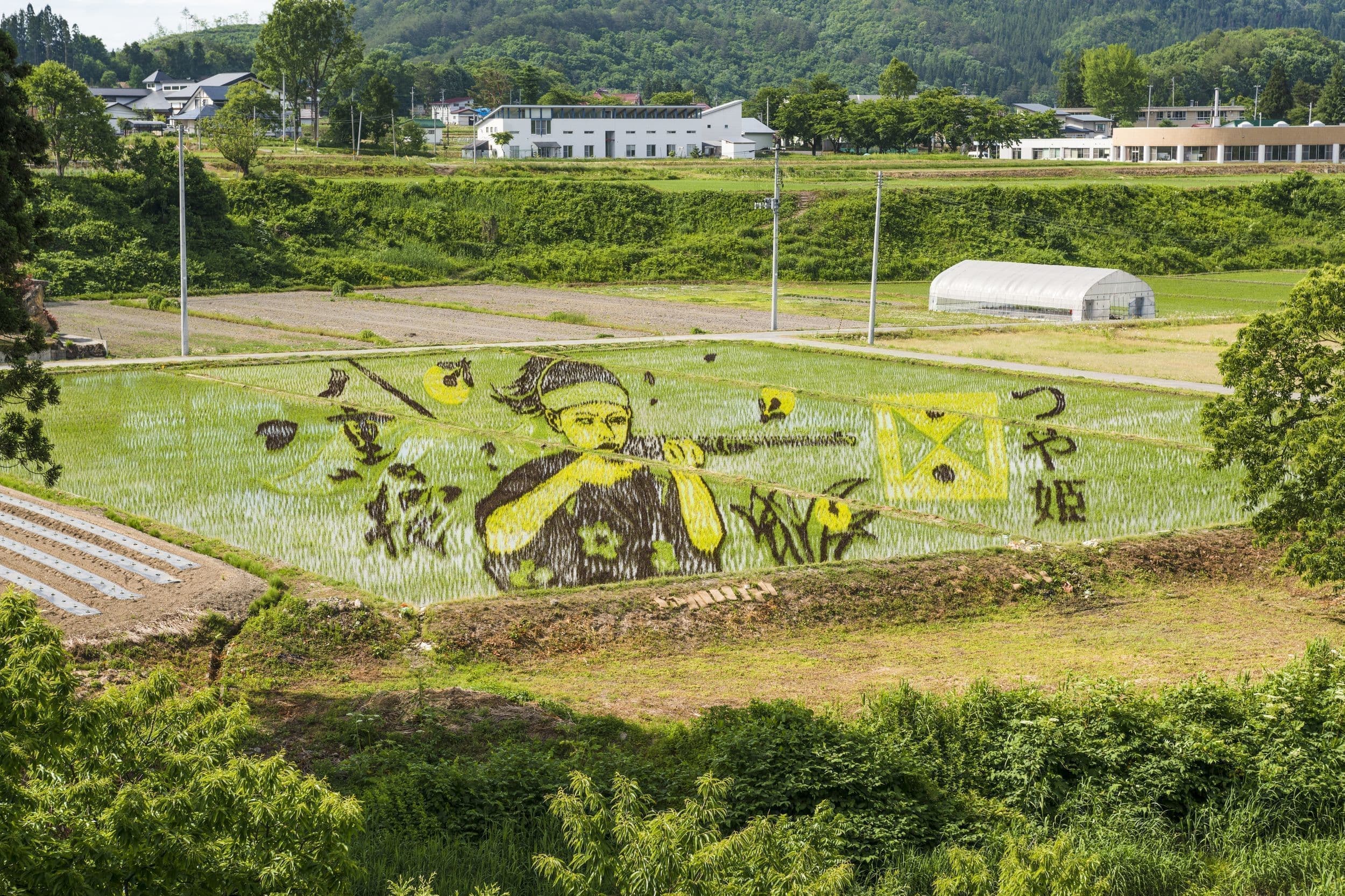 温泉　旅　自然　米沢牛