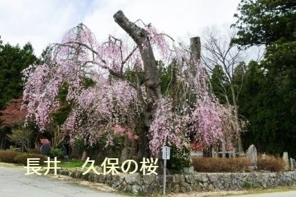 温泉　旅　自然　米沢牛