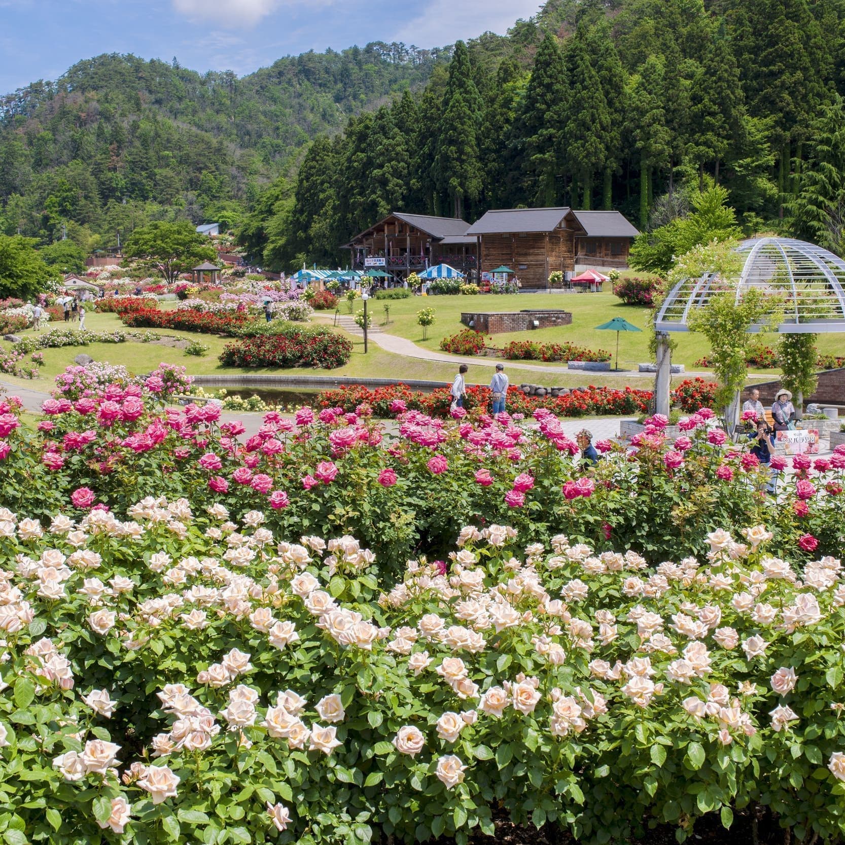 温泉　旅　自然　米沢牛