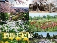 温泉　花回廊