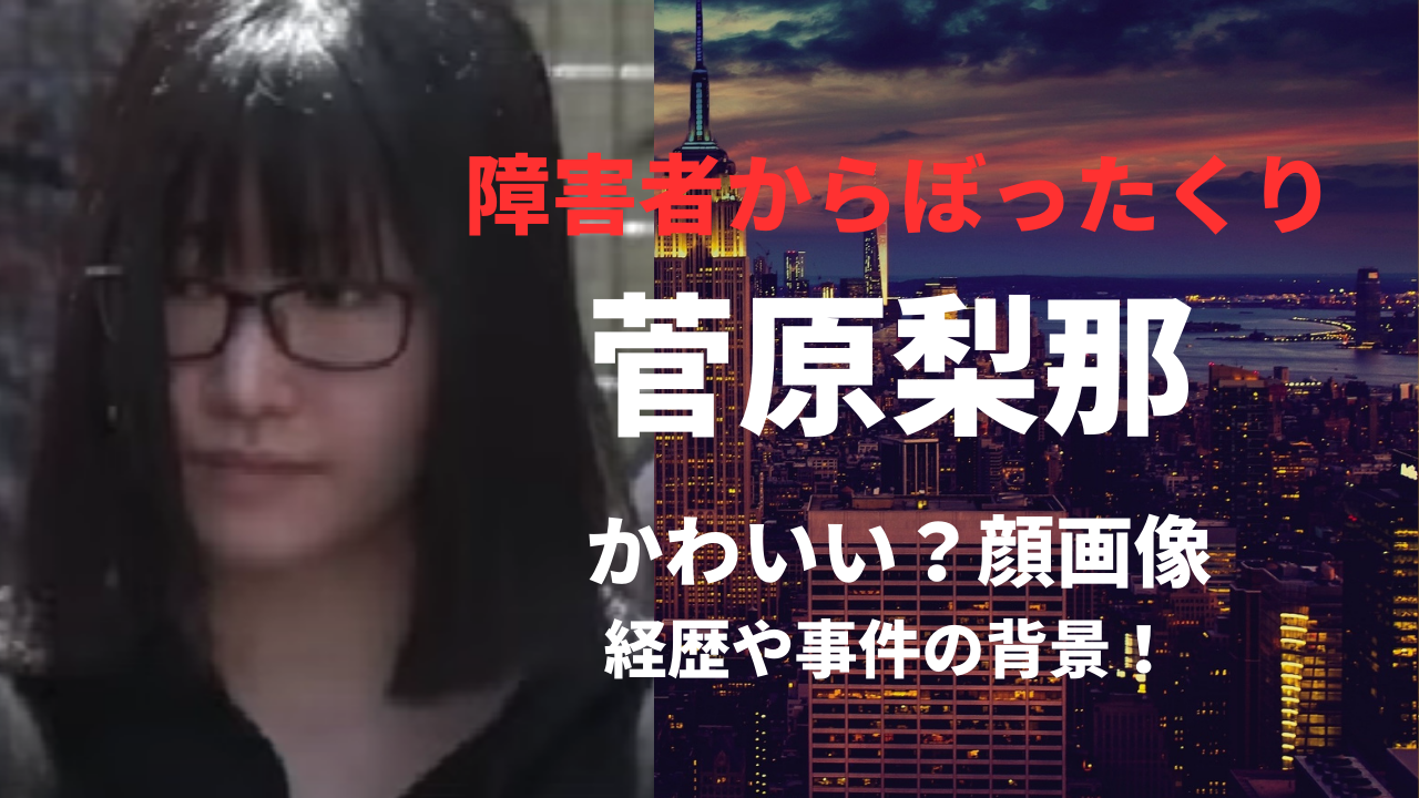 【顔画像】菅原梨那容疑者がかわいい？経歴や自宅・勤務先を徹底調査！